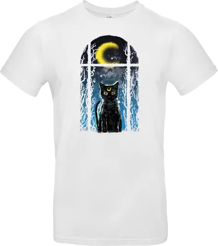 moon visitor