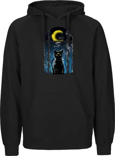 moon visitor