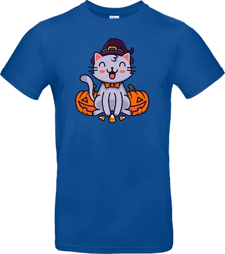Happy Halloween Cat