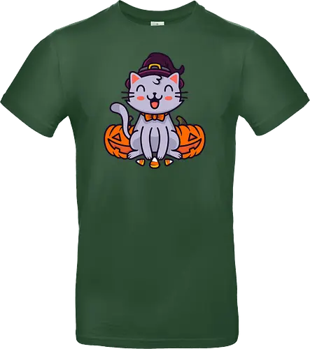 Happy Halloween Cat