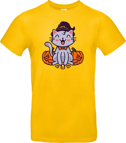 Happy Halloween Cat