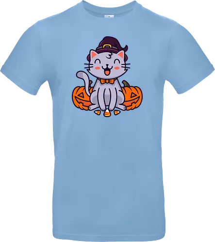 Happy Halloween Cat