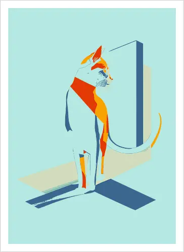 geometricat 2