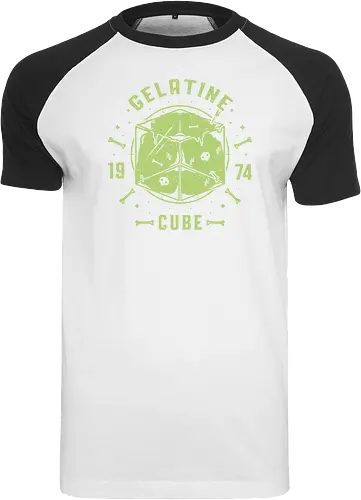 Gelatine Cube