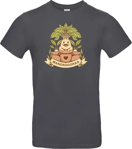 The Mandragoras