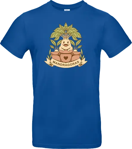 The Mandragoras