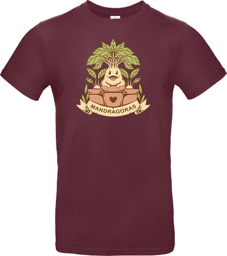 The Mandragoras