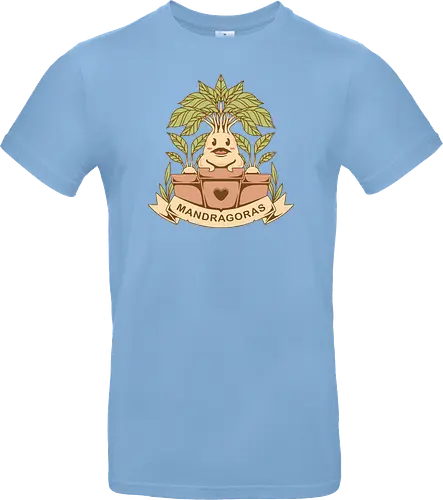 The Mandragoras
