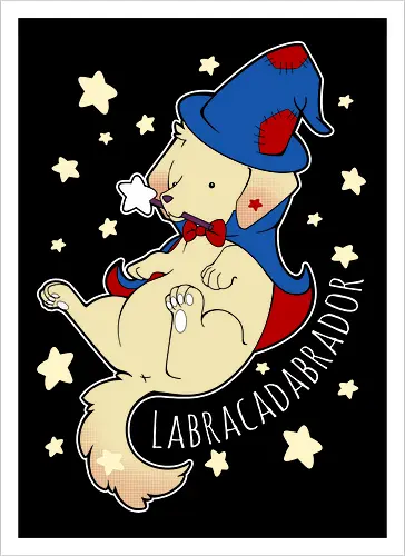 Labracadabrador