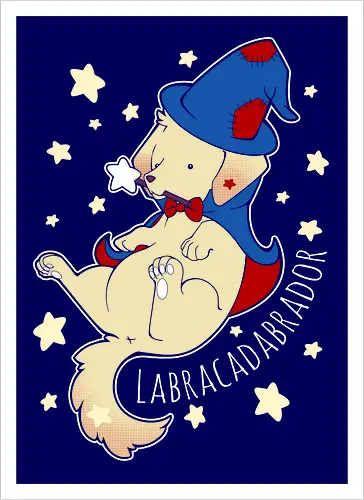 Labracadabrador