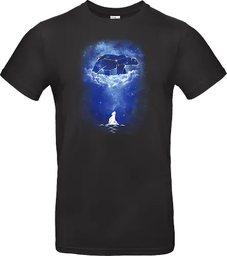 Starry Frozen Sky