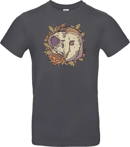 Autumn Barn Owl Skull