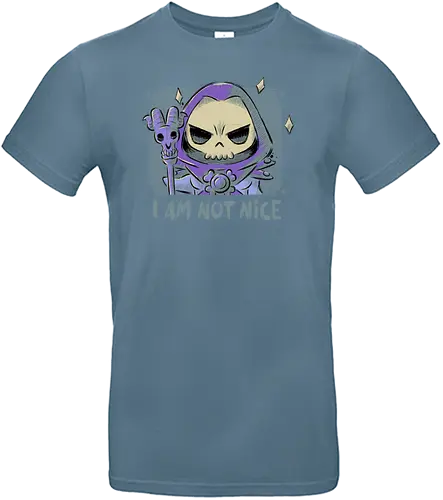 I Am Not Nice - skeletor, motu, enemy, He-Man, cartoon - Standard T-Shirt