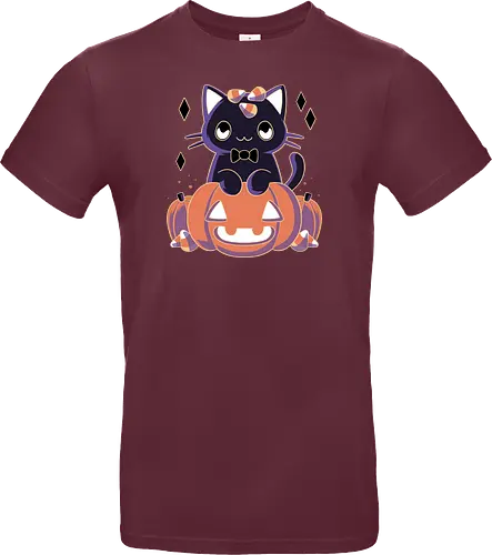 Pumpkin Cat