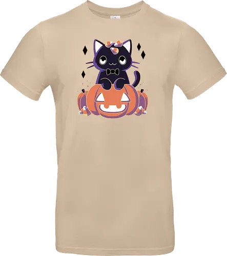 Pumpkin Cat