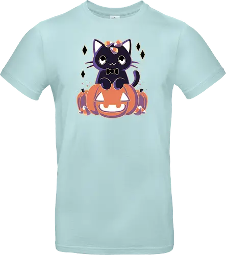 Pumpkin Cat