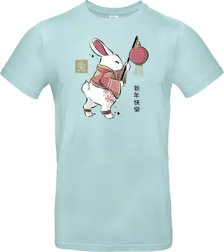 Year Of Rabbit