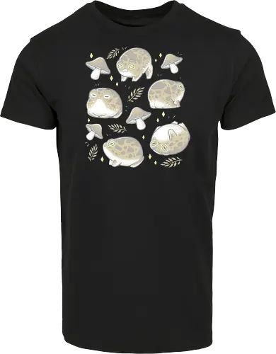 Rain Frogs