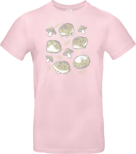 Rain Frogs