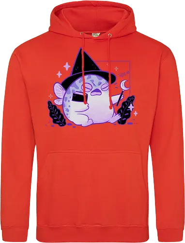 Rain Frog Wizard