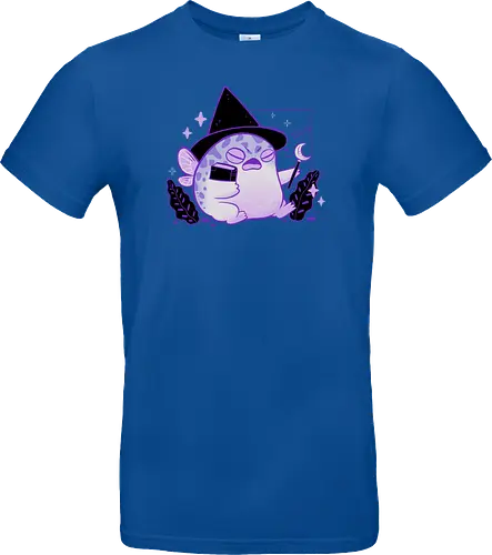 Rain Frog Wizard