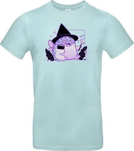 Rain Frog Wizard