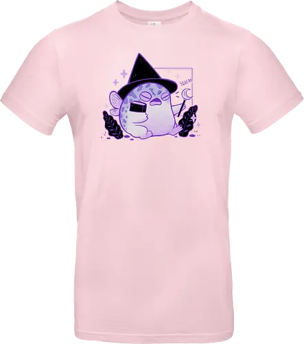 Rain Frog Wizard
