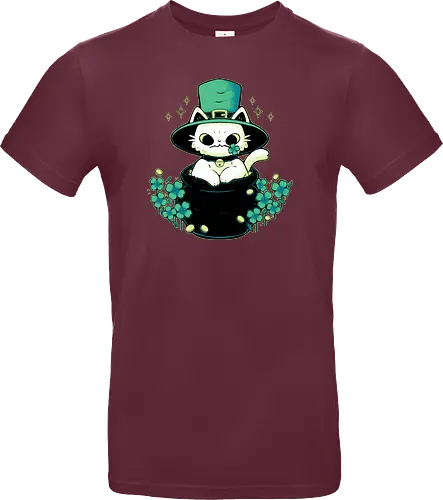 Cute St Patrick Cat