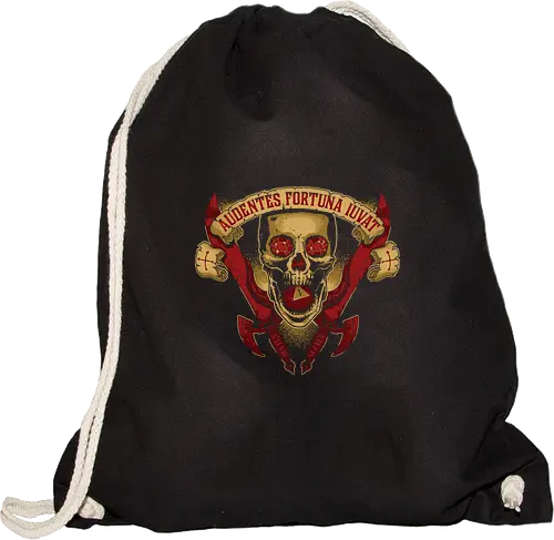 Audentes Fortuna Iuvat