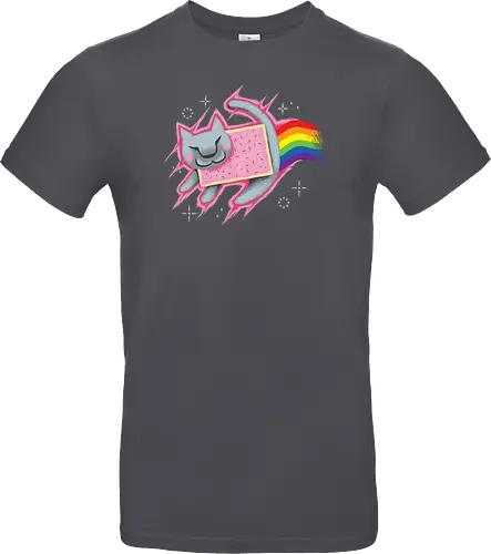 The Nyan King