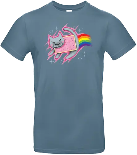 The Nyan King - lion, löwe, könig, king, nyan cat, nyan, cat, katze, meme, poptart, rainbow, unicorn, regenbogen - Standard T-Shirt