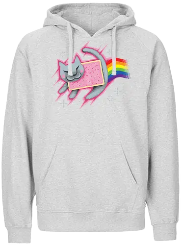 The Nyan King - lion, löwe, könig, king, nyan cat, nyan, cat, katze, meme, poptart, rainbow, unicorn, regenbogen - Fairtrade Hoodie