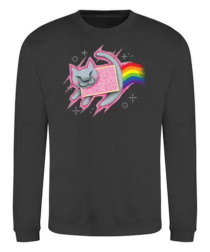 The Nyan King - lion, löwe, könig, king, nyan cat, nyan, cat, katze, meme, poptart, rainbow, unicorn, regenbogen - Sweatshirt