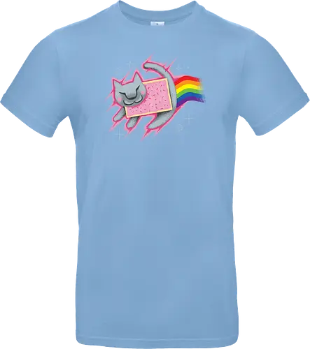 The Nyan King