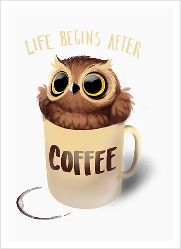 Night Owl