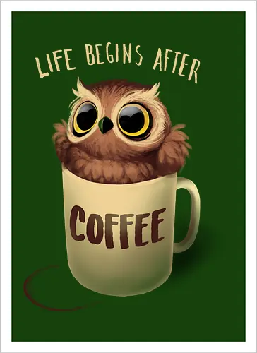 Night Owl