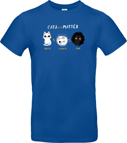 Cats Matter