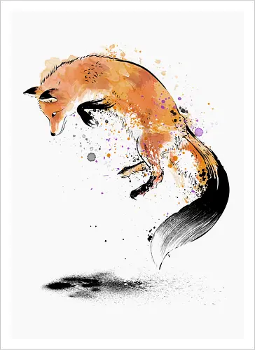 Red Fox Jumping Into Snow