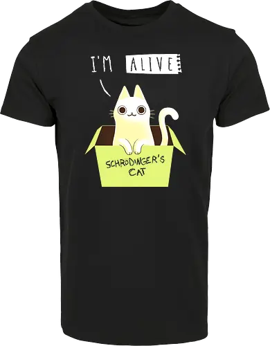 Schrödinger Night
