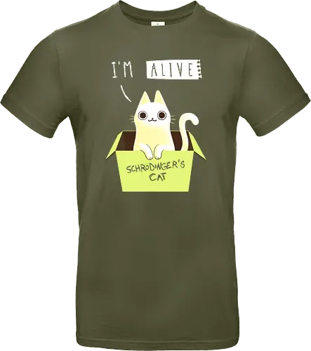Schrödinger Night