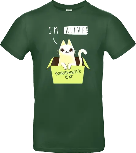 Schrödinger Night