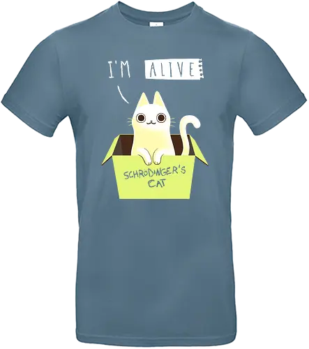 Schrödinger Night - cat, katze, schrödinger, schrödingers katze, box - Standard T-Shirt