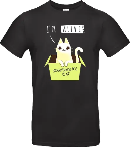 Schrödinger Night