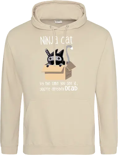 Ninja cat