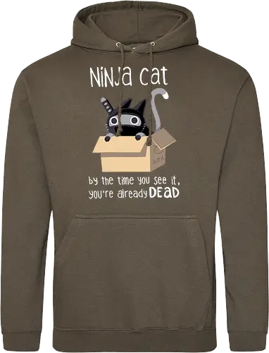 Ninja cat