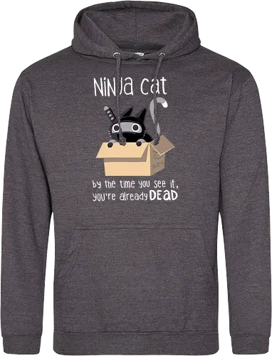 Ninja cat