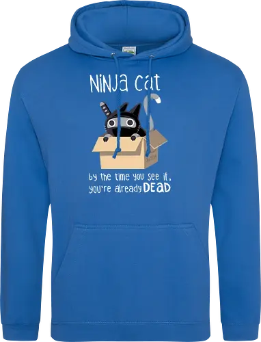 Ninja cat