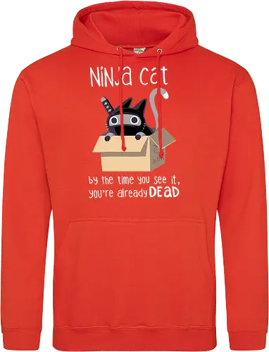 Ninja cat