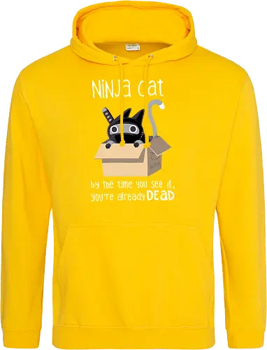 Ninja cat