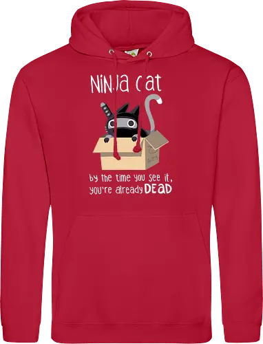 Ninja cat